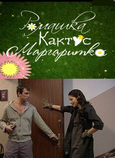 Ромашка, кактус, маргаритка 