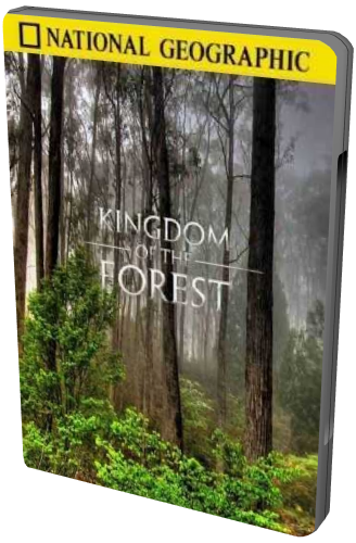 National Geographic. Лесное царство / Kingdom of the Forest 