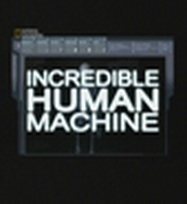 National Geographic: 4 фильма / National Geographic 