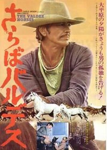 Фильмография Чарльза Бронсона / Charles Bronson FilmoGraphy 